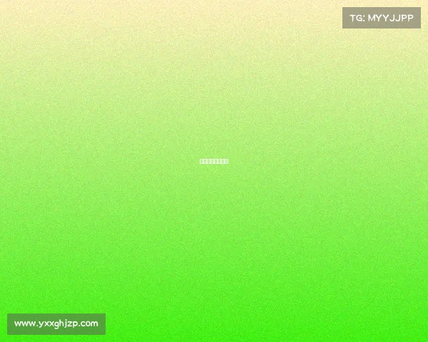 体育赛事技术官员